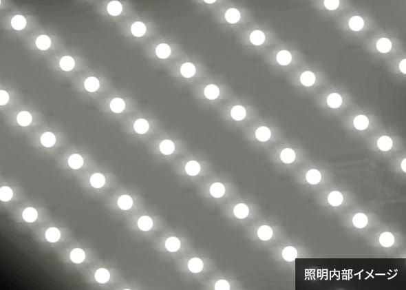 照明内部イメージ