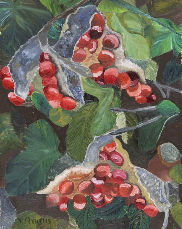 赤い木の実と葉