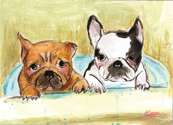 お風呂は嫌いだワン