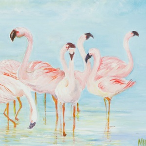 フラミンゴ