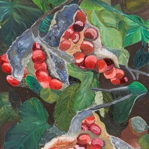 赤い木の実と葉