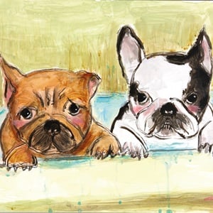 お風呂は嫌いだワン