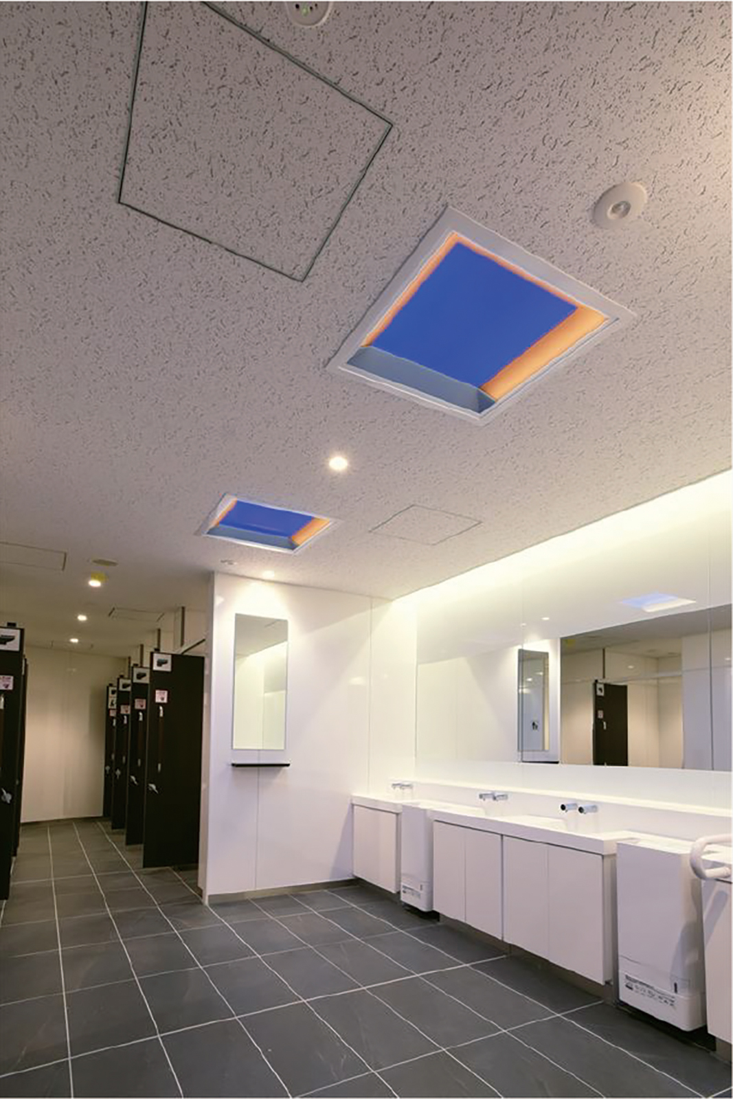 リニューアル後の女子トイレに設置した「青空照明misola」（夜シーンの調光）